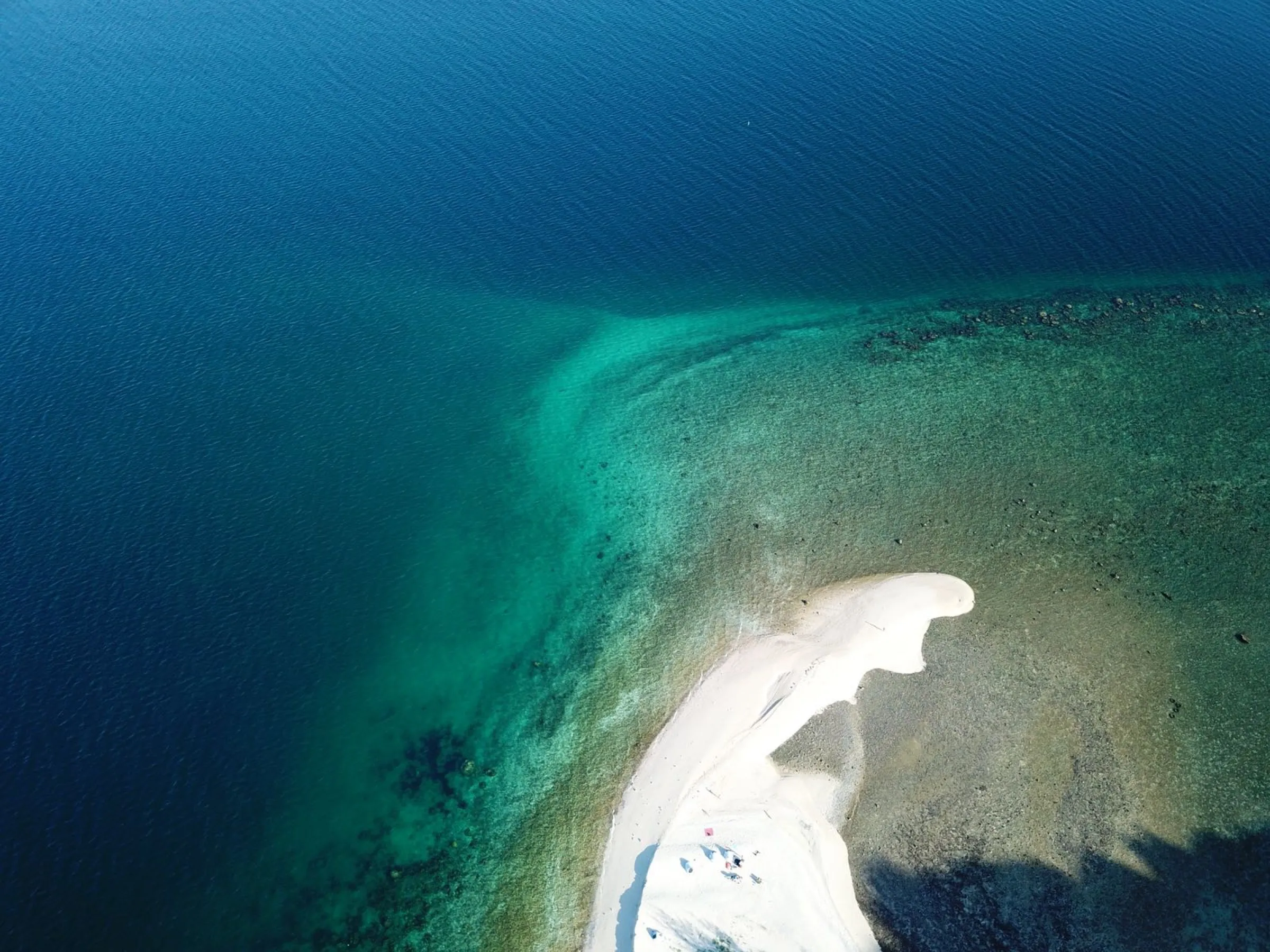 Aerial view of a coral sandbar fading from white sand into turquoise and deep blue sea.
